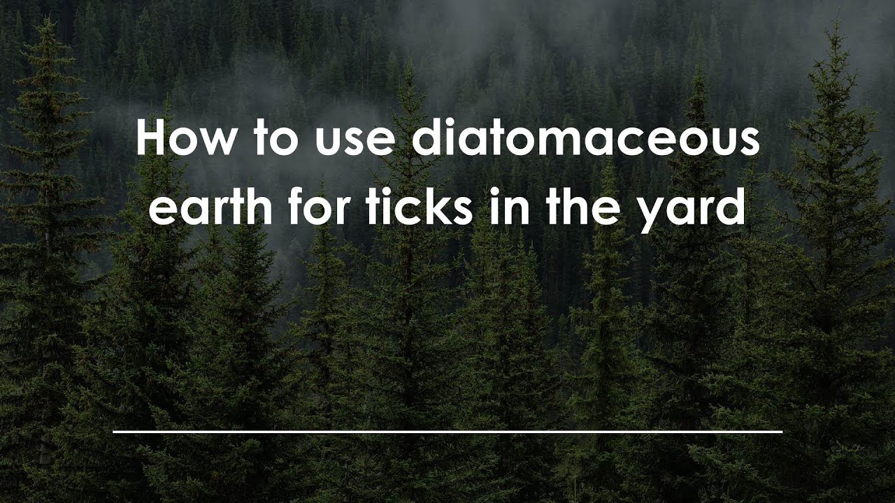 Earth Tick How to use diatomaceous earth for ticks in the yard - YouTube