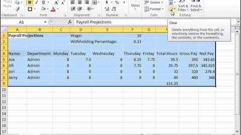 Excel 2010 Tutorial Clearing All Formatting from Cells Microsoft Training Lesson 7.3