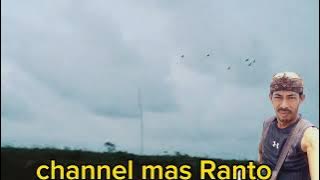 care pencarian sepot yg tepat trik menurunkan burung belibis