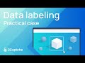 Datasets for Data Analysis (Data Labeling) - How to Label Images (Practical Guide)