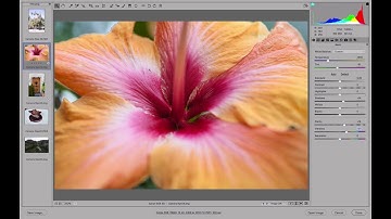 10/18 Adjusting the Curves in Camera Raw — Photography: Make the Most of Your Images_ENG