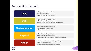 Transfection Techniques Explained