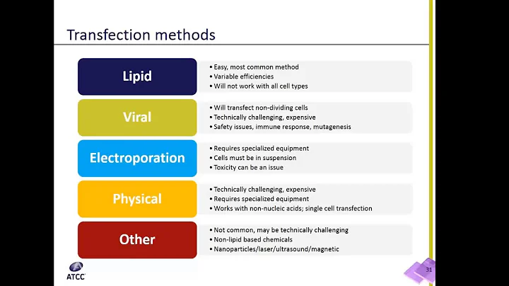 Transfection Techniques Explained