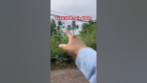 Hoa hội xuyên mộc BRVT #batdongsan #bdss #beach #bbds #nhadep #automobile