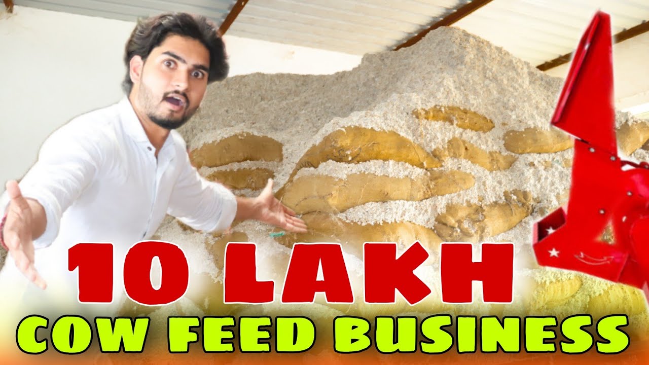 ऐसे लगाओ कपास खल का बिजनेस मॉडल🤑💸✅ महीने की कमाई लाखो में🤯cotton seeds cacke business explorersathi