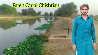 Beautiful Place Fateh Canal Chishtian | Fateh Canal | Village Life | Nauroz Ali Official