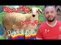 جيت نقول لكم عيد مبارك سعيد على جميع المغاربة جيت نقول لكم عيد مبارك سعيد على جميع المغاربة