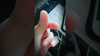 Download Lagu karna cinta the junas MP3