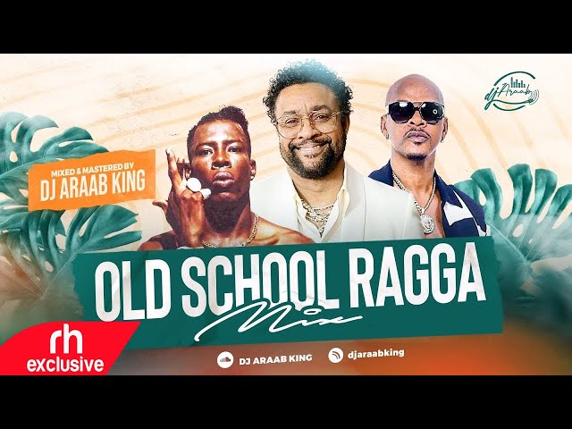 OLD SCHOOL DANCEHALL VIDEO MIX 2024 RAGGA RAGGATON   RAGGA HITS   BEST RAGGA DANCEHALL DJ ARAAB KING class=