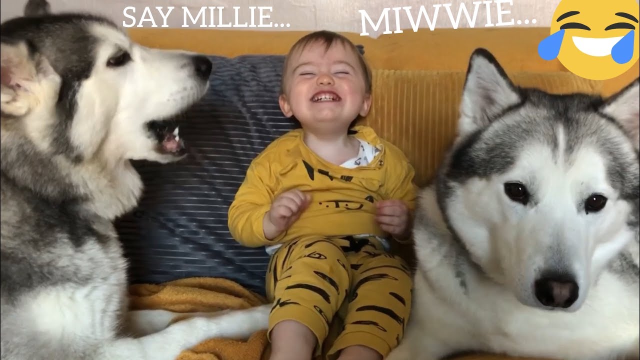 HUSKY HELPS MY BABY TALK!! [TRY NOT TO 