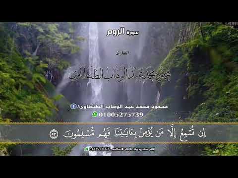 القارئ محمود محمد الطنطاوى سورة الروم