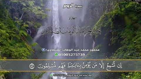 القارئ محمود محمد الطنطاوى سورة الروم
