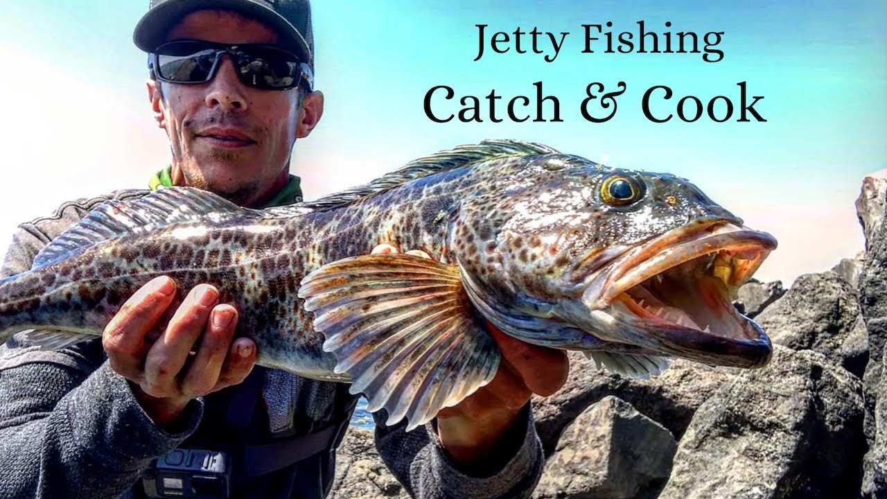 Rock Fishing On A Jetty, Lingcod Catch & Cook YouTube