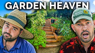 Professional Gardeners React To Subscriber Gardens Around The World!