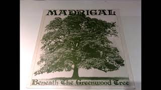 Madrigal- Sounds of Silence (Folk Rock)