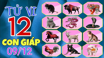 Chi Tiết Tử Vi Của 12 Con Giáp Ngày 09/12/2025 Về Vận Mệnh, Sự Nghiệp, Tài Lộc Và Con Số May Mắn