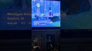 Black bear on Michigan snowman live cam #new #viralshort #bear