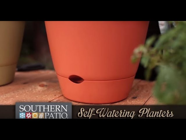 We Tested A Self-Watering Houseplant Pot: Here's How & Why to Use Them –  Outside In