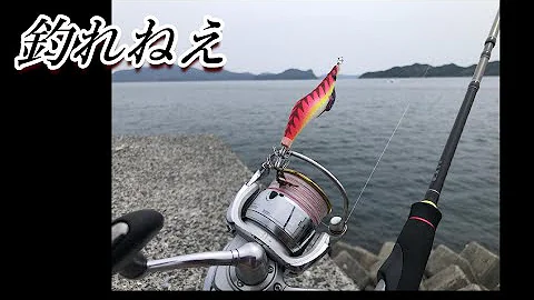 エギング山口 Mp3