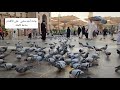من ساحات المسجد النبوي الشريف إلى ساحة شهداء غزوة أحد مشاهدة جميلة على الطريق 