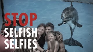 Is your selfie worth their suffering? by Born Free Foundation 1,261 views 11 months ago 1 minute, 36 seconds