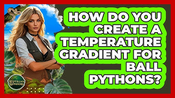 How Do You Create A Temperature Gradient For Ball Pythons? - Reptilian Wonders