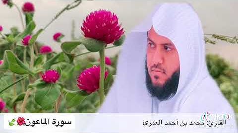سورة الماعون بصوت القارئ محمد بن أحمد العمري