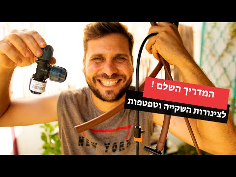 וִידֵאוֹ: איך להשתיל דשא פמפס – טיפים להשתלת דשא פמפס