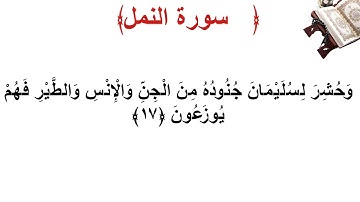 سورة النمل الأية 17
