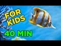 Fun underwater adventure for kids 40 minutes