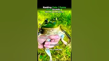 Top 5 Cute and Funny Frog Sounds Ranked!