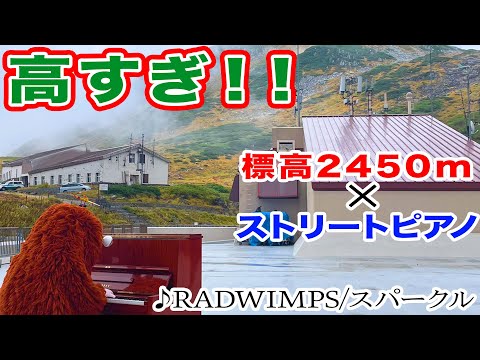 音楽家ムック】標高2450mの山の上で突然、RADWIMPSの