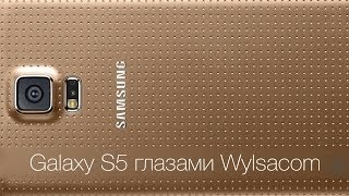 Samsung Galaxy S5 глазами Wylsacom
