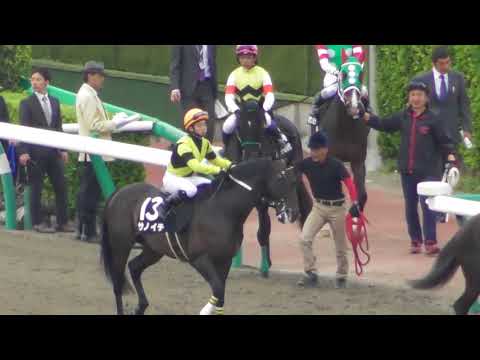 2018 京葉ステークス 本馬場入場 現地映像 ダノングッド