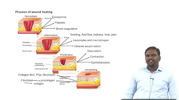 Skin Tissue Engineering - Part 1.  #swayamprabha #CH31SP