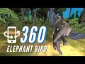 Doctor Seuss Dancing Elephant Bird 360° Animation