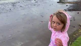 Snorkeling and Leia flies the drone by herself by RV Pirates 106 views 5 years ago 3 minutes, 46 seconds
