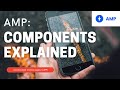 What Are AMP Components?