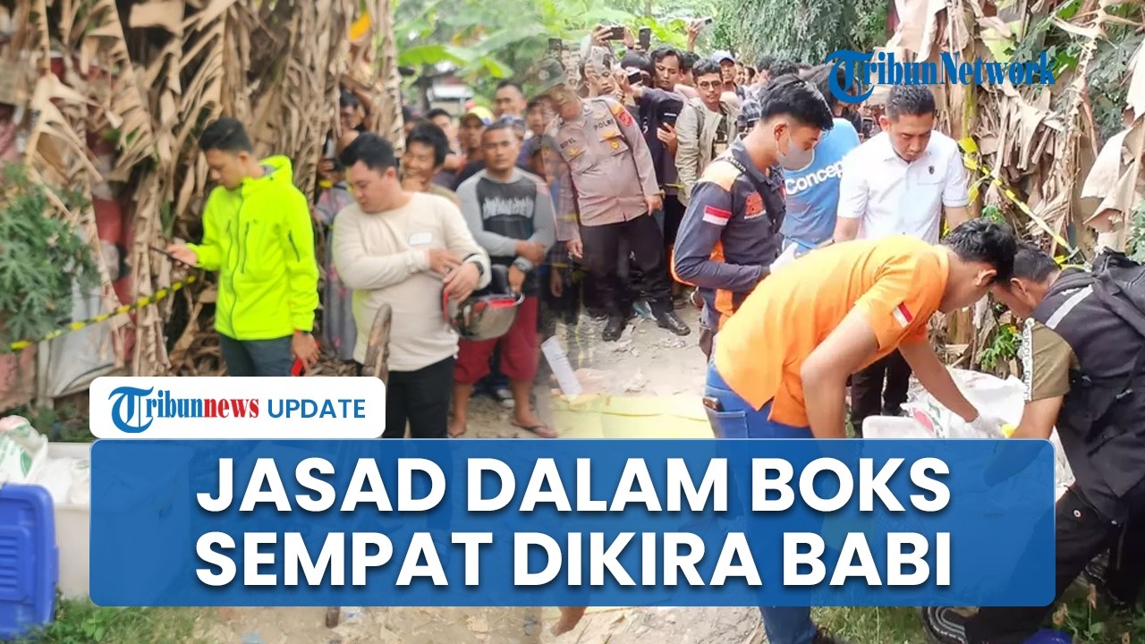 Kronologi Penemuan Mayat Wanita Tanpa Busana dalam Boks di Ladang Pisang, Sempat Dikira Babi