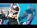 PESCA submarina CAMPING catch & COOK 🌊⛺🍳