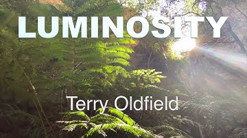 LUMINOSITY ... Terry Oldfield