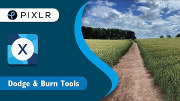 Quick & Easy Series: Dodge and Burn Tool in Pixlr X
