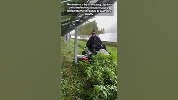Solar Farm Maintenance: Efficient Grass Cutting for Power.