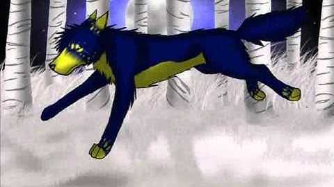 Wolf Animation- Run Cycle