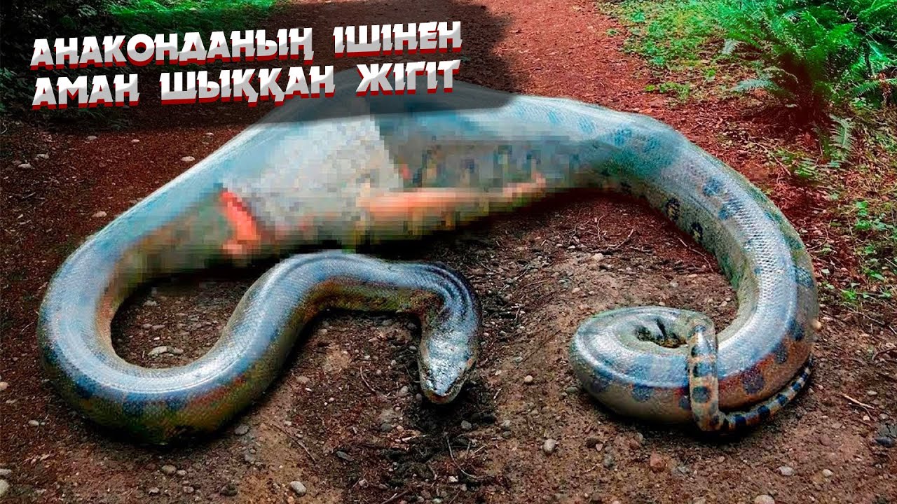 Артынан бағаналы қыздардың әуесқойлық суреттері Күйеуінің әйелі үшін ер адамға бұйырғанын қараңыз