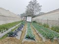 Visit of Horticultural crops during the Training Programme at Patna and Chandi, Nalanda.