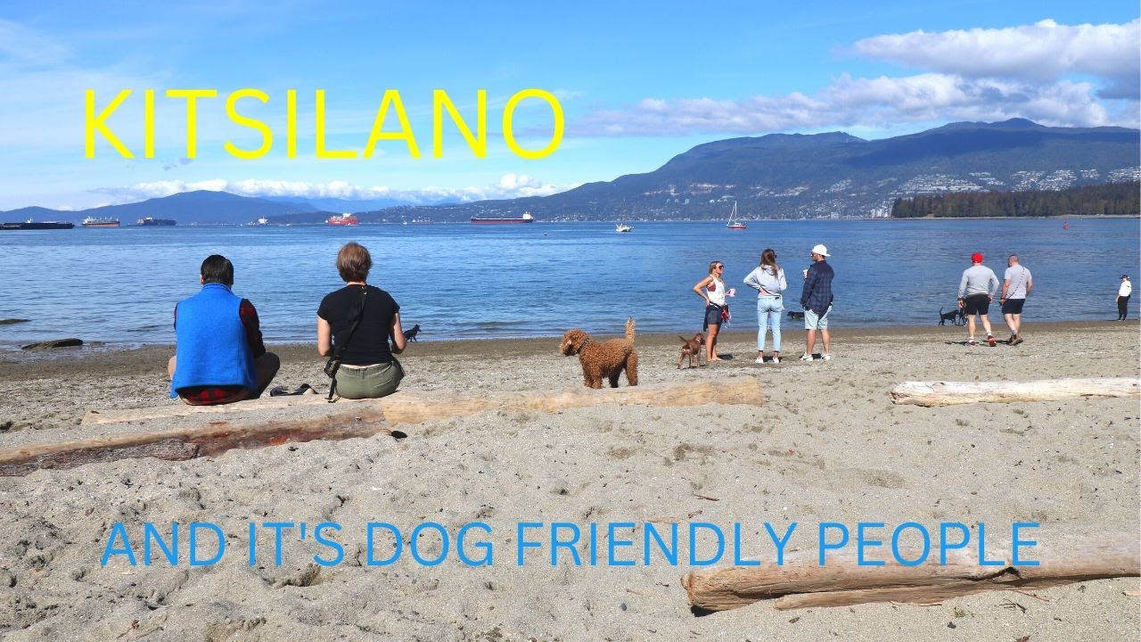KITSILANO AND IT'S DOG FRIENDLY PEOPLE. VANCOUVER YouTube