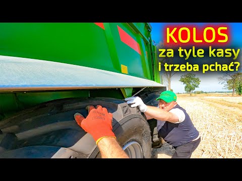 KOLOS za kupę