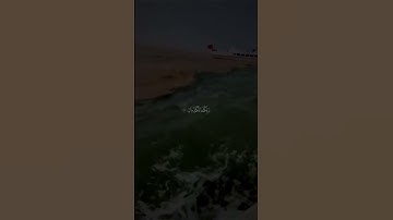 حالات واتس اب دينية من سورة الرحمن#القرآن_الكريم #سورة_الرحمن
