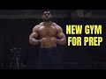 New Gym 🦍 Day 12/90